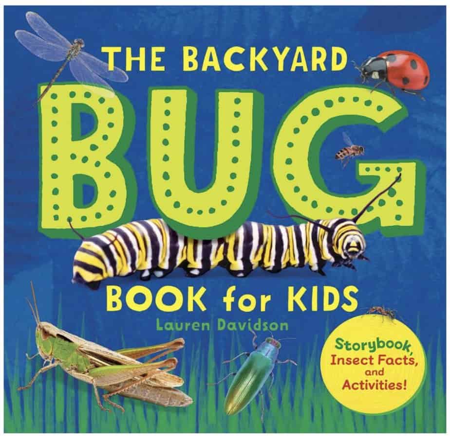 Books about ladybugs for preschoolers 